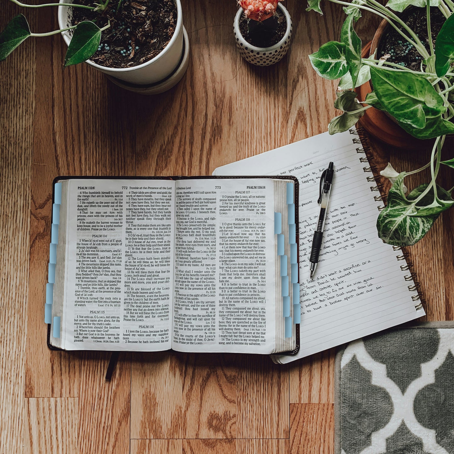 Bible Tabs - HSV Local