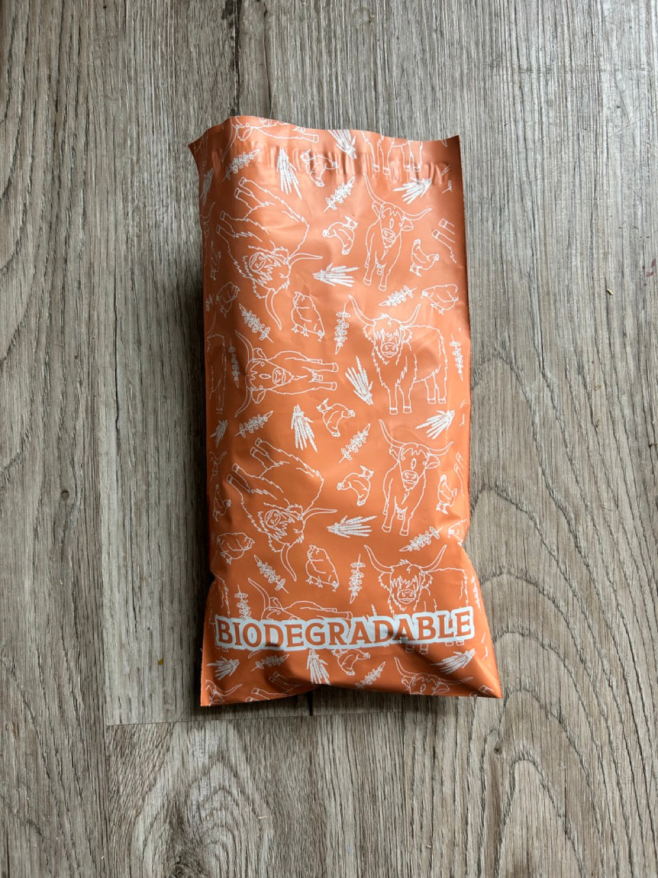 Cow and Chicken 6x9 Poly Mailers