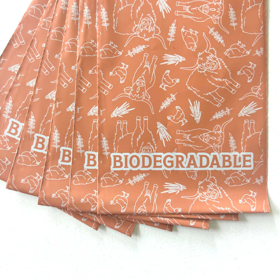 Cow and Chicken 6x9 Poly Mailers