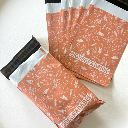 Cow and Chicken 6x9 Poly Mailers