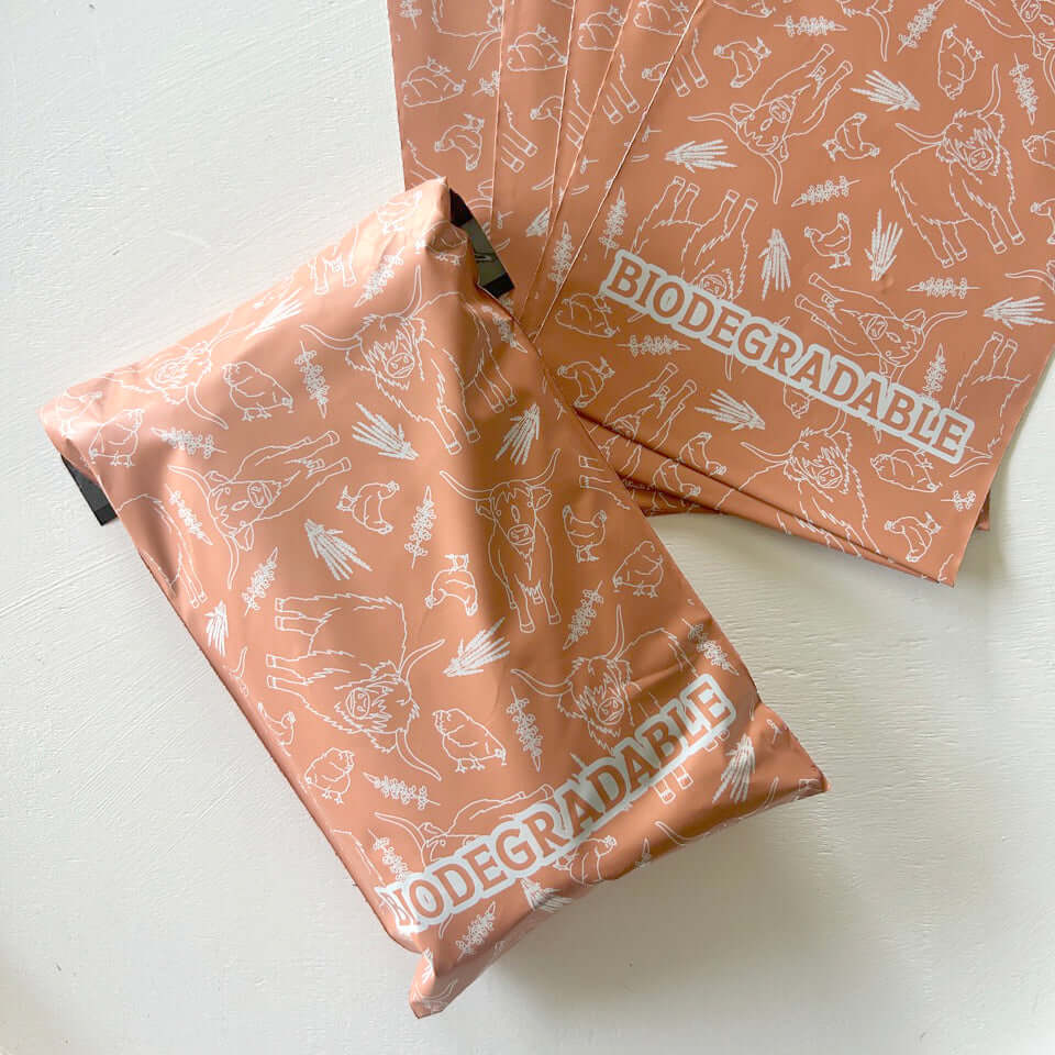 Cow and Chicken 6x9 Poly Mailers