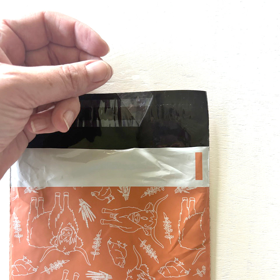 Cow and Chicken 6x9 Poly Mailers