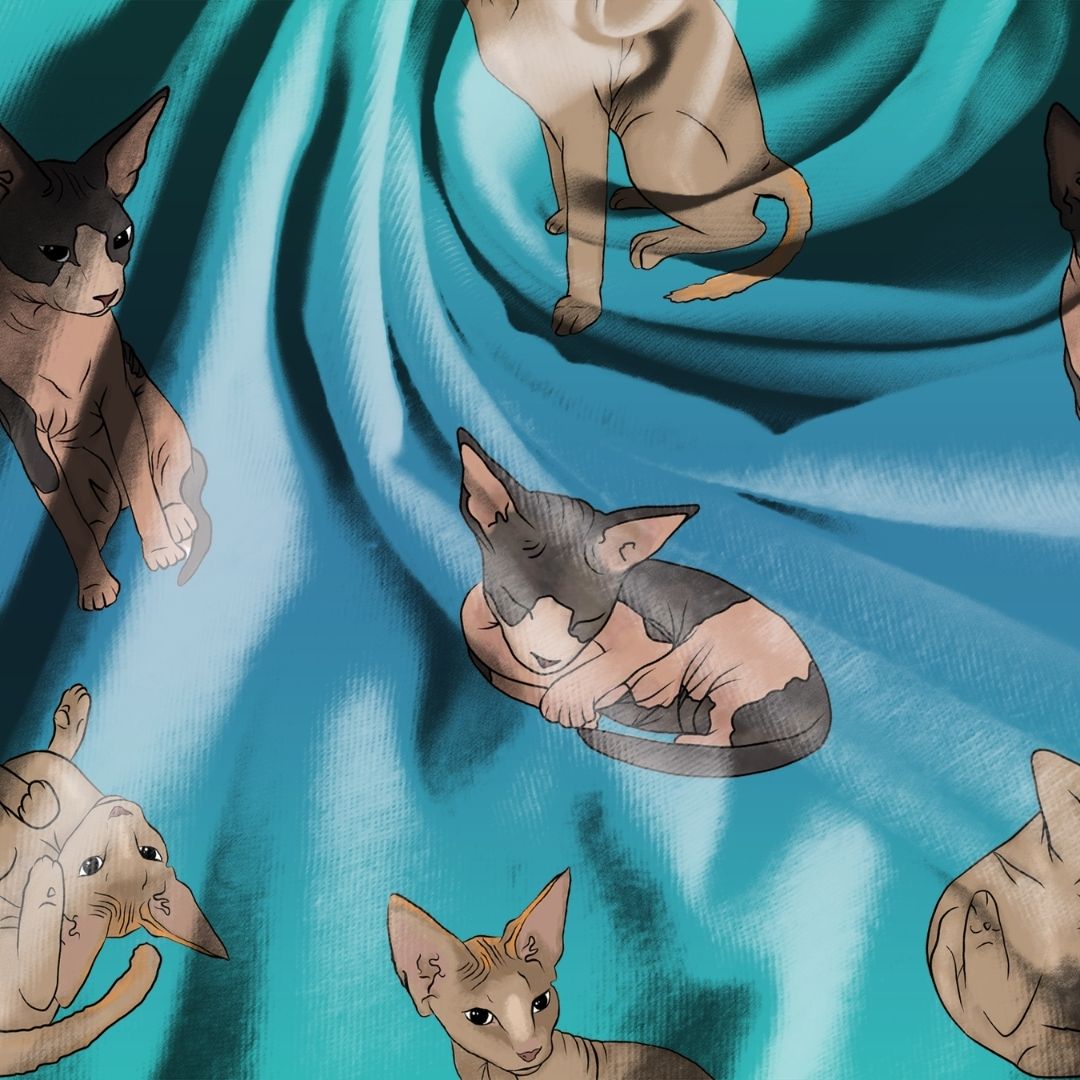 Sphynx Cat Seamless Design