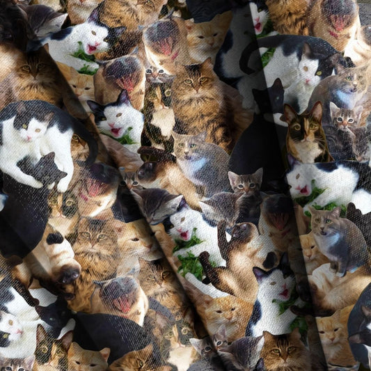 House Cats Seamless Design