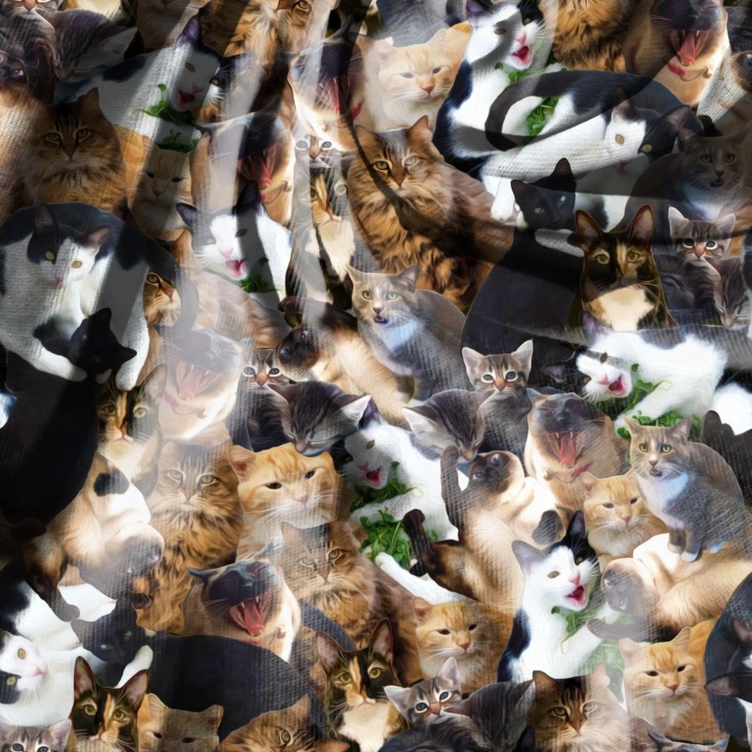 House Cats Seamless Design