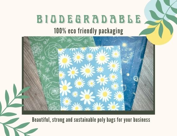 Daisy 10x13  Poly Mailers