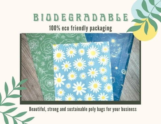 Daisy 10x13  Poly Mailers