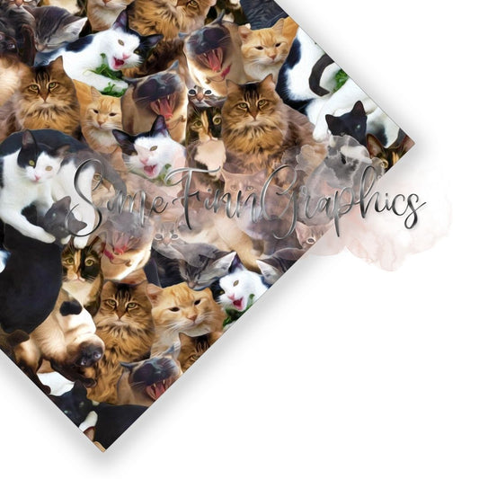 House Cats Seamless Design